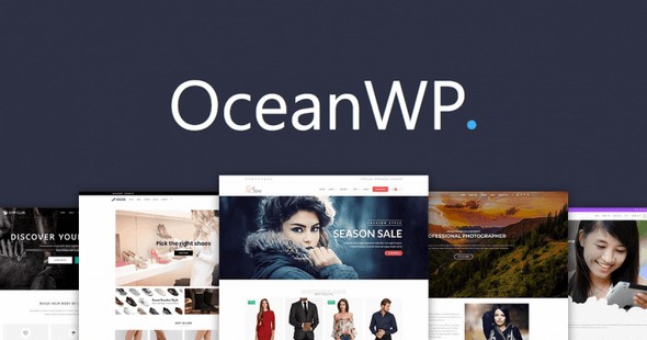 oceanwp motyw wordpress