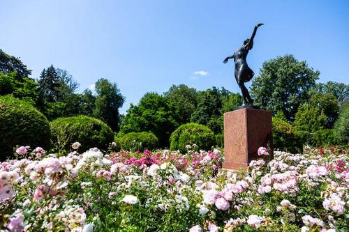 Ogród Różany w Parku Skaryszewskim