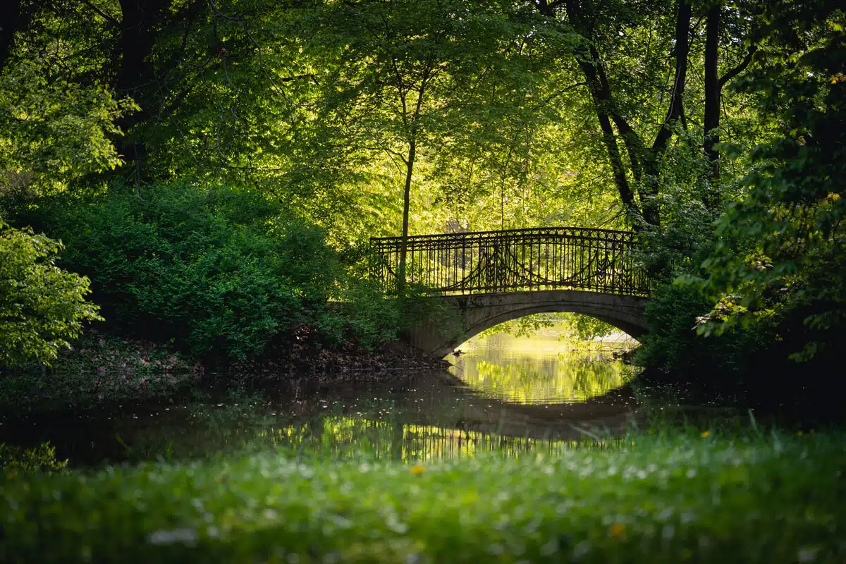 Park Skaryszewski w Warszawie - mostek