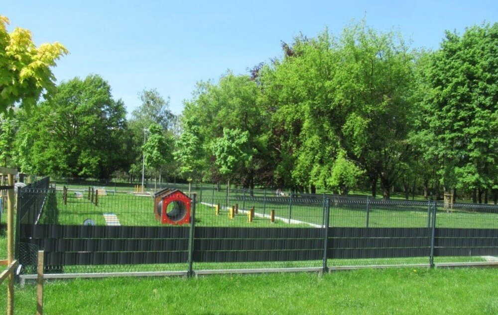 Psi Park w Parku Bródnowskim w Warszawie