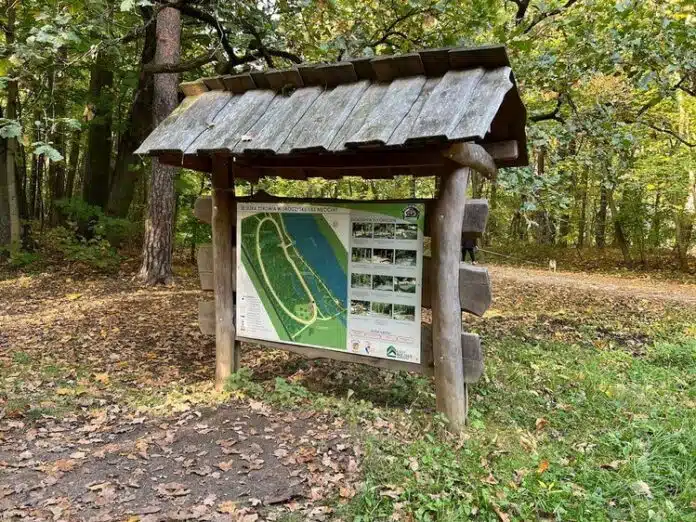 Park Młociński warszawa Bielany