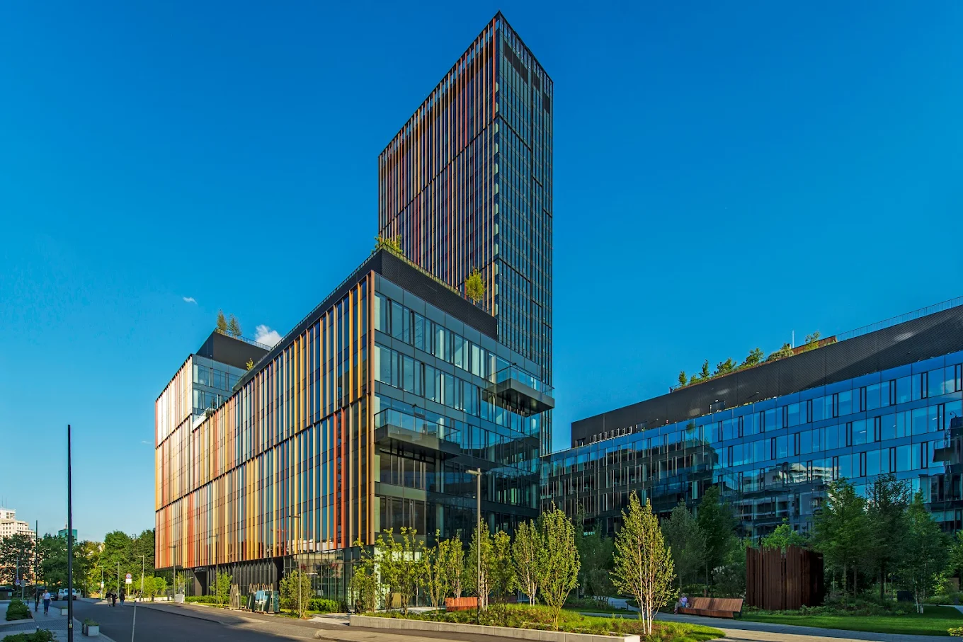 Forest – zielony punkt widokowy w Warszawie