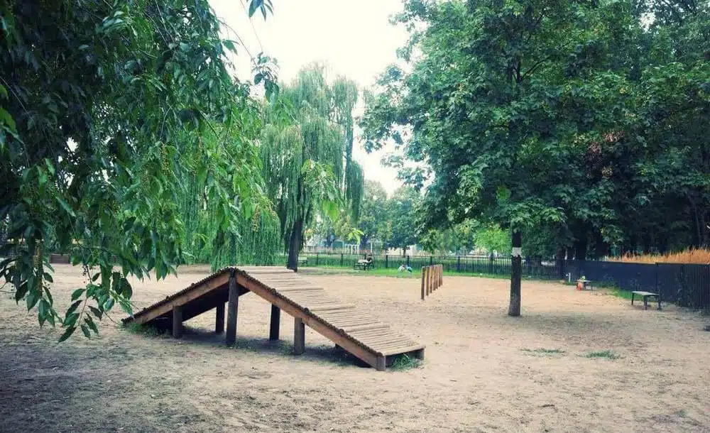 Park dla psów w Warszawie - Park Polińskiego