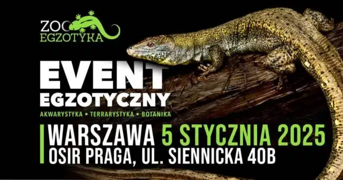 wydarzenia warszawa - event egzotyczny