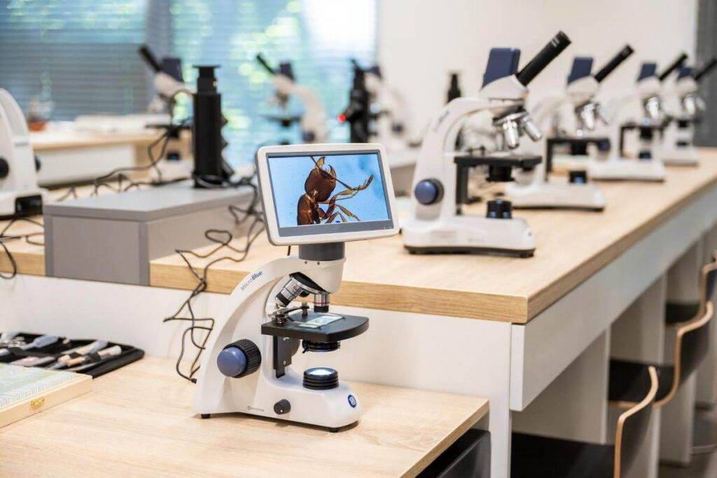 Centrum Edukacji Ekologiczne na Bielanach