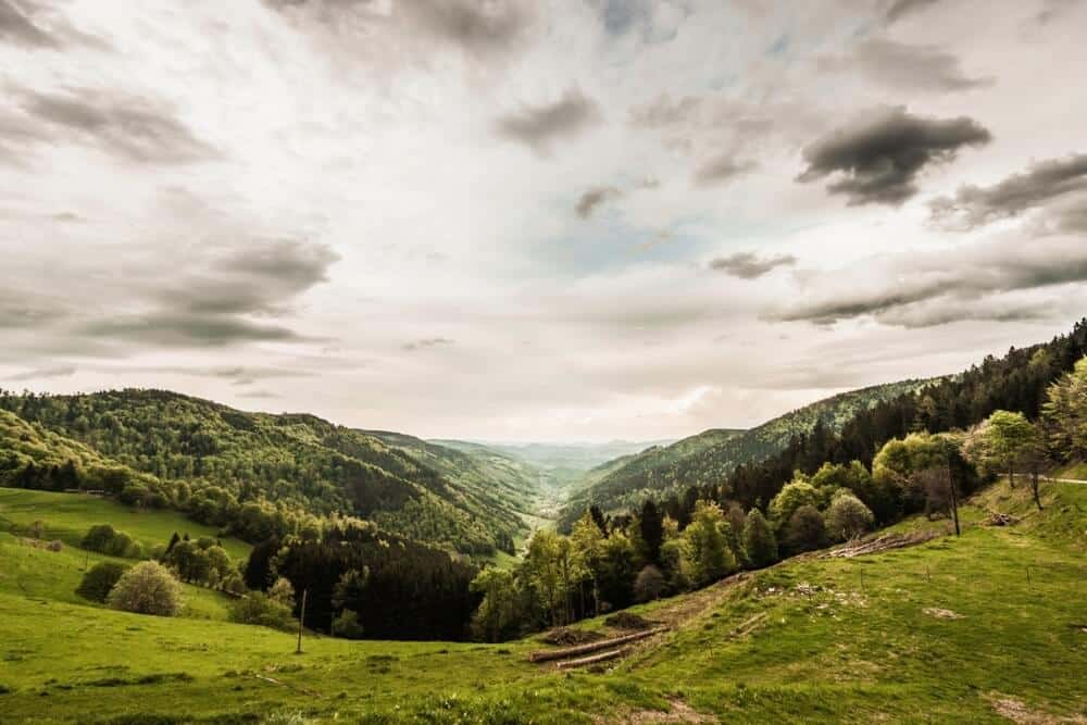 Panorama Beskidów