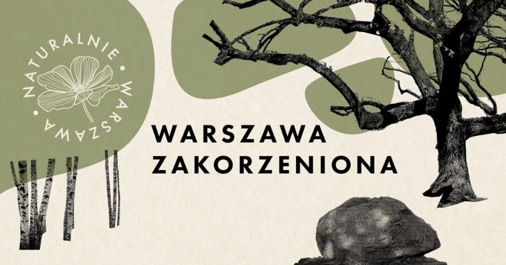 spacery po Warszawie - las Bielański