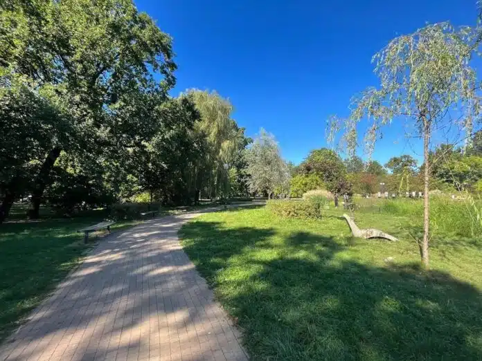 Park Czechowicki Warszawa - alejki spacerowe
