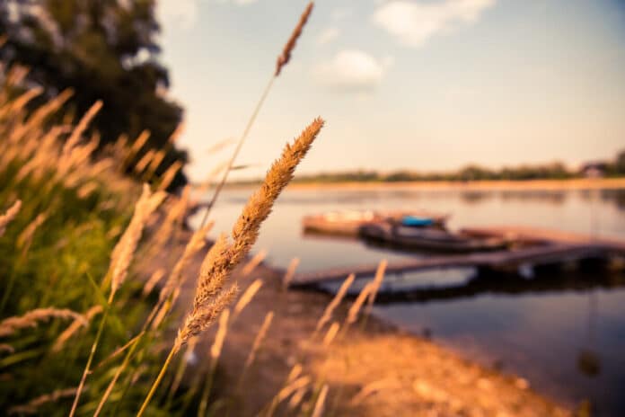 Bezpłatne atrakcje nad Wisłą