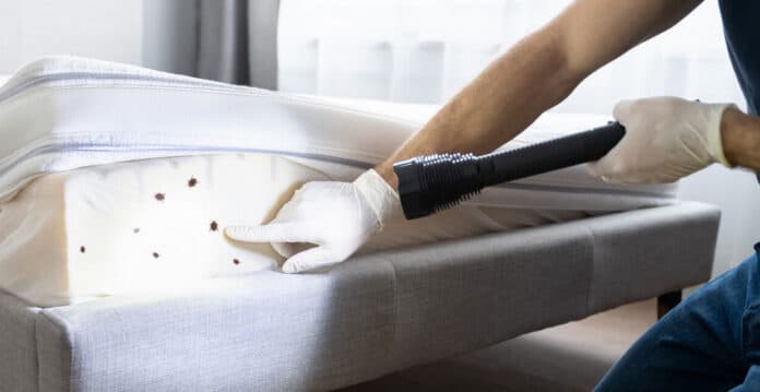 Jak działa wymrażanie pluskiew metodą Cryonite