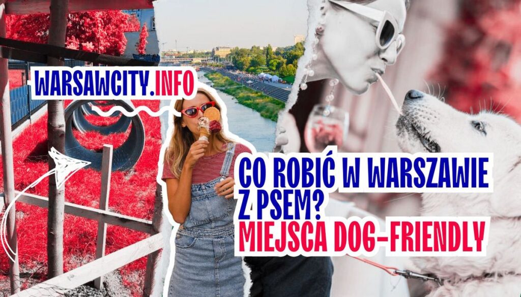 Co robić w Warszawie z psem - Najlepsze miejsca dog-friendly w stolicy