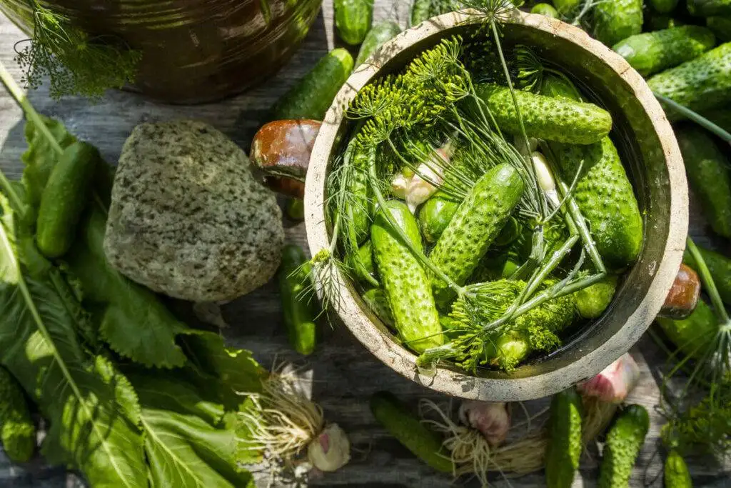 Jak zrobić ogórki małosolne krok po kroku