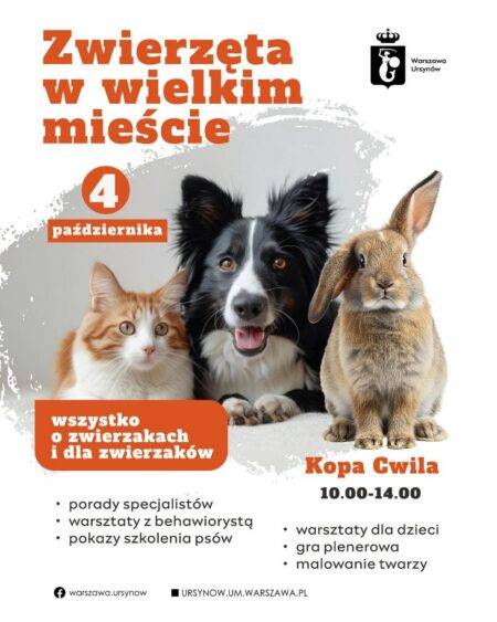 Piknik Zwierzęta w wielkim mieście - wydarzenia Warszawa