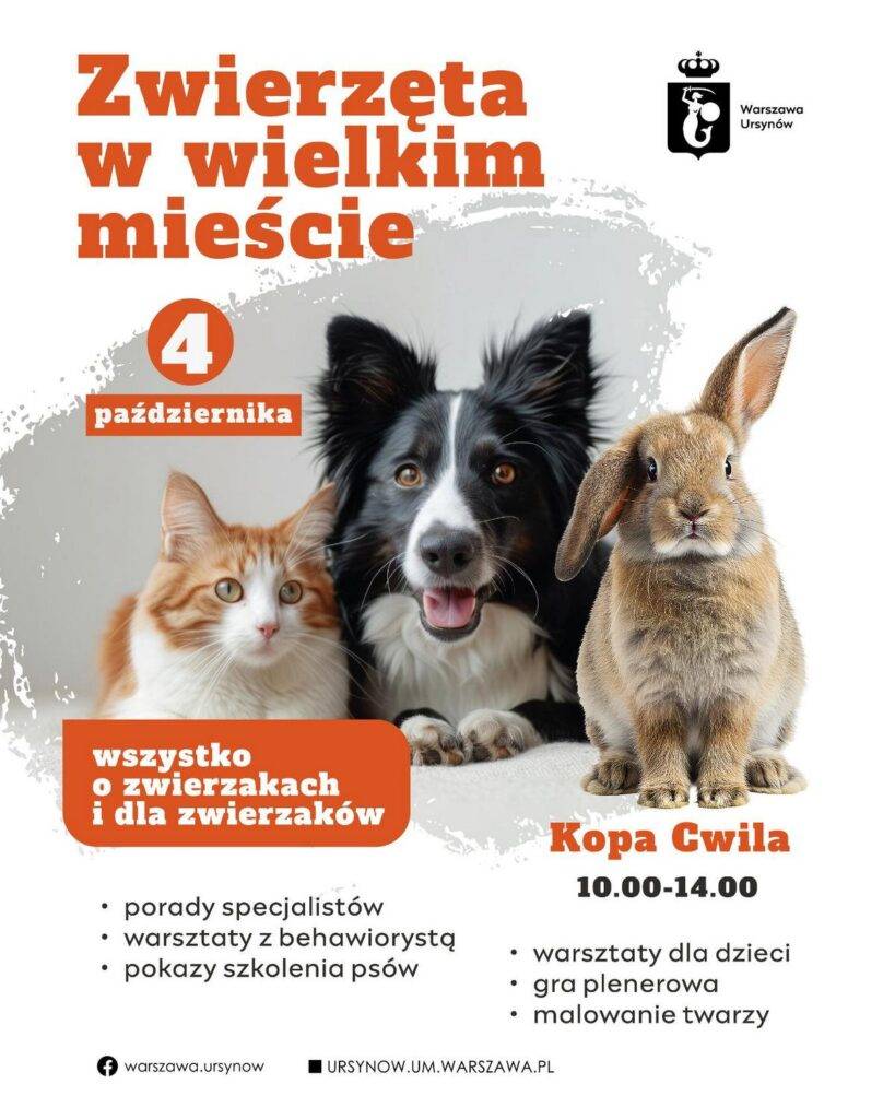 Piknik Zwierzęta w wielkim mieście - wydarzenia Warszawa