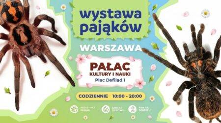 Wystawa pająków w Pałacu Kultury i Nauki