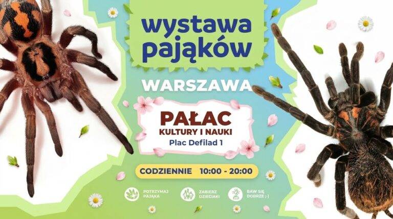 Wystawa pająków w Pałacu Kultury i Nauki