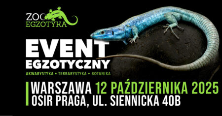 ZooEgzotyka Warszawa październik 2025 - wydarzenia Warszawa