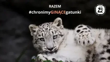 Zwiedzanie ZOO WARSZAWA - wydarzenia Warszawa