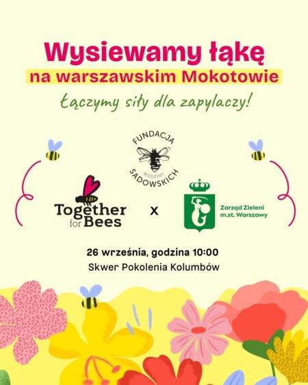 MOKOTÓW ZAKWITA DLA ZAPYLACZY Wspólnie wysiejmy kwietną łąkę