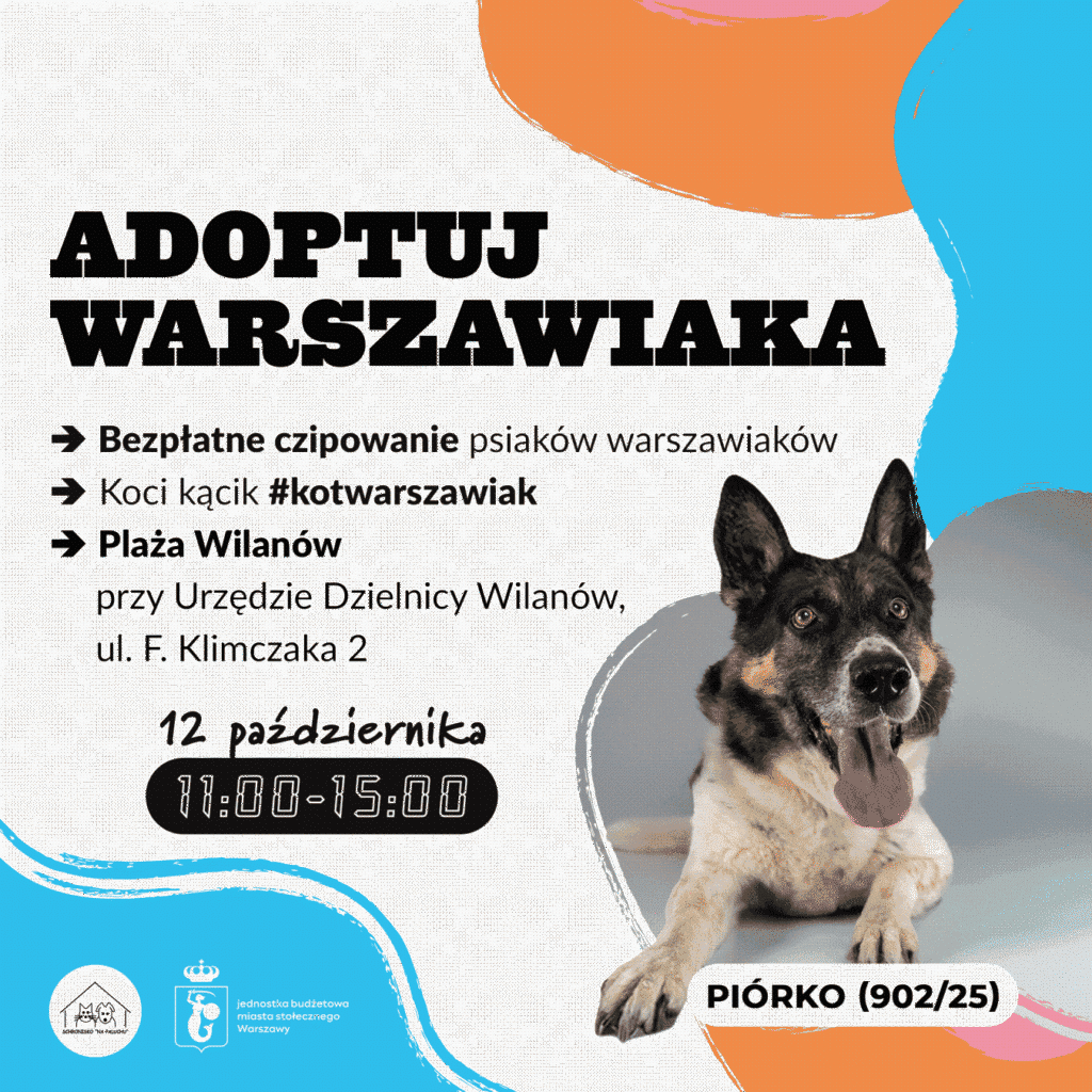 Adoptuj Warszawiaka 12.10.25 - wydarzenia Warszawa