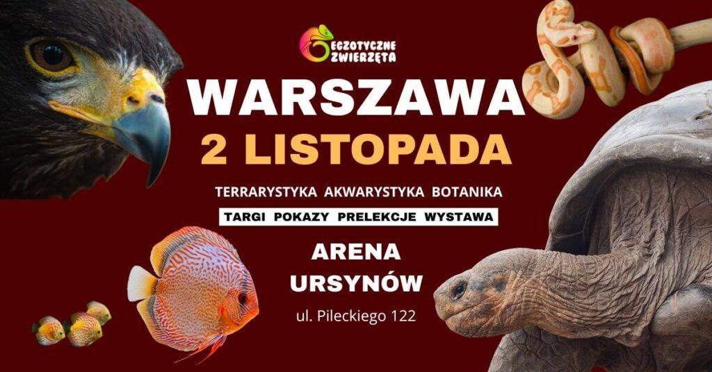 Egzotyczne Zwierzęta - wydarzenia Warszawa