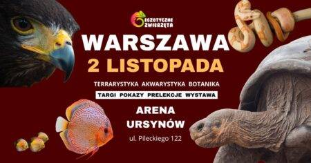 Egzotyczne Zwierzęta - wydarzenia Warszawa