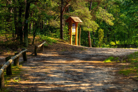 Kampinoski Park Narodowy - co warto zobaczyć, szlaki, dojazd, mapa i atrakcje