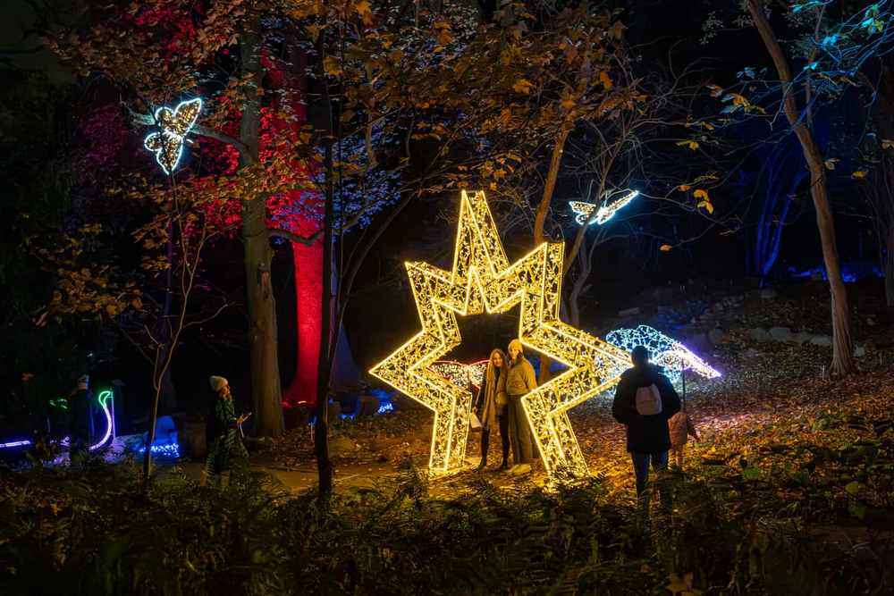 Magiczny Botaniczny - ogród świateł brama gwiazda, fot. Lumagica