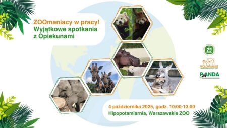 Obchody Światowego Dnia Zwierząt w ZOO Warszawa - wydarzenia