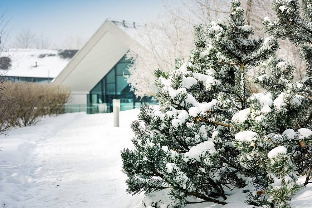 Rodzinne ferie zimowe – komfort, atrakcje i spokój Poziom 511 – hotel na ferie zimowe