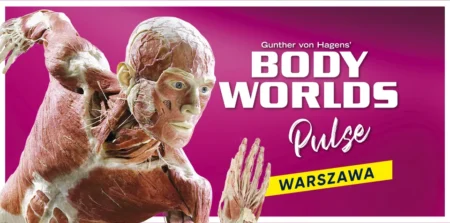Body Worlds Pulse Warszawa