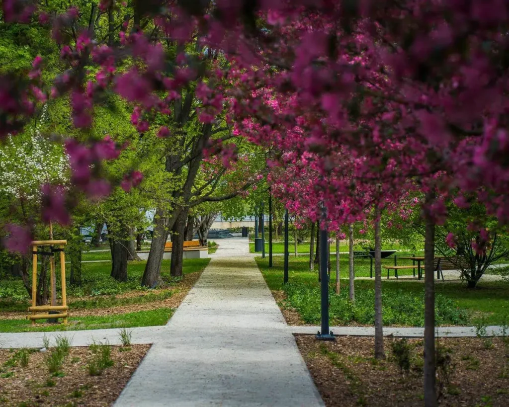 Skwer im. Radiowej Rodziny Matysiaków na warszawskim Powiślu | Autor: Krzysztof Babicki, ZZW