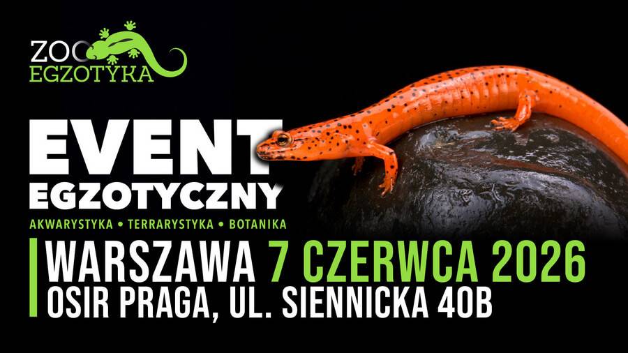 ZooEgzotyka Warszawa – Targi egzotycznych zwierząt i roślin ZooEgzotyka Warszawa