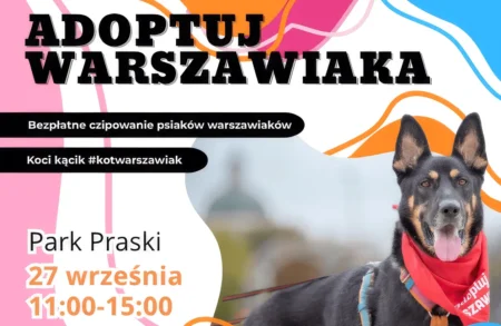 Adoptuj Warszawiaka w Parku Praskim. Psy i koty ze Schroniska na Paluchu czekają na dom Adoptuj Warszawiaka 2026