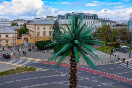 Rondo de Gaulle’a bez betonu. Przy palmie pojawi się 7 tys. roślin Palma na Rondzie de Gaulle’a - UM Warszawa