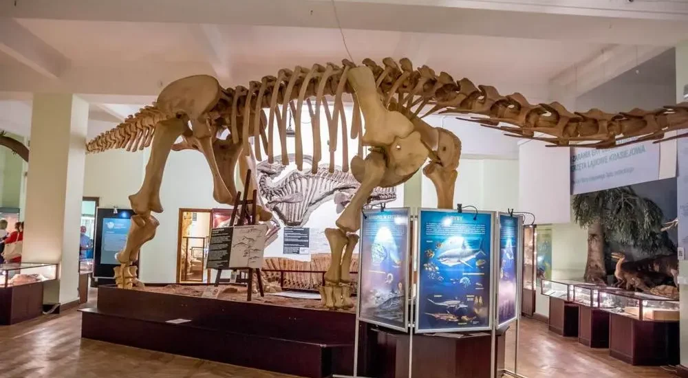 Muzeum Ewolucji PAN w PKiN_ Muzeum Ewolucji PAN w PKiN
